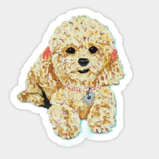 Stella the Mini Poodle II Sticker